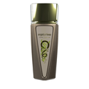 Mysterium Paris Corner