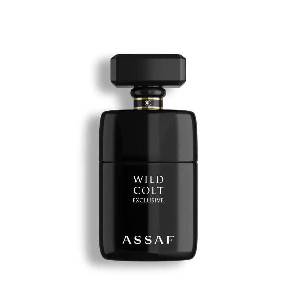 Wild Colt Exclusive Assaf